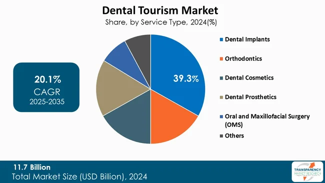 Dental Tourism Market Type (1)